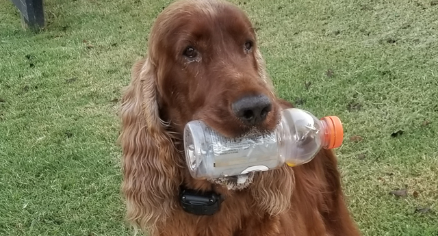 Finn with Bottle