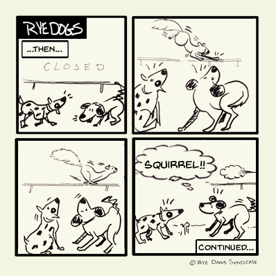 squirrel!