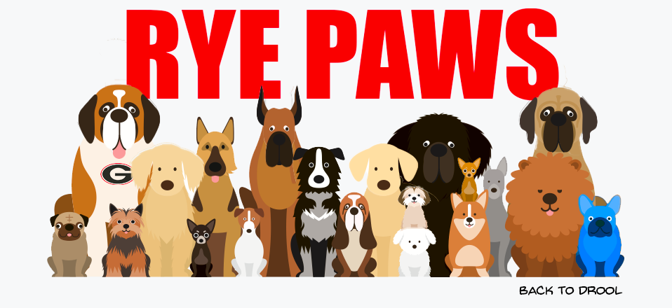 Rye Paws
