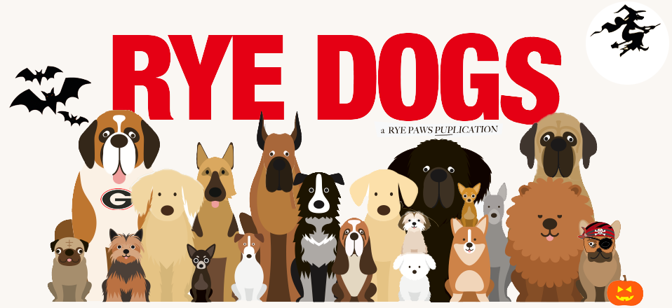 Rye Dogs
