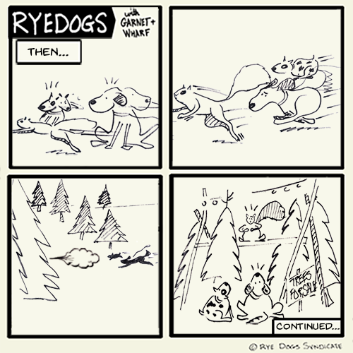 dogs chase squirrel into a forest (but is it really a forest?)