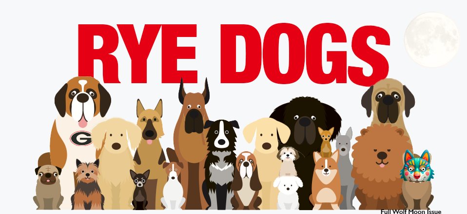 Rye Dogs