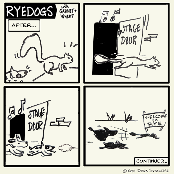 dogs chase squrrel out of The Cap and back to Rye?)