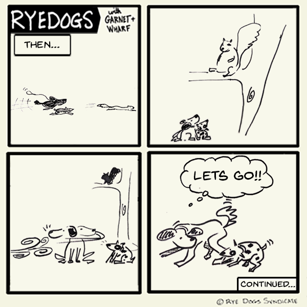 dogs chase squrrel out of The Cap and back to Rye?)