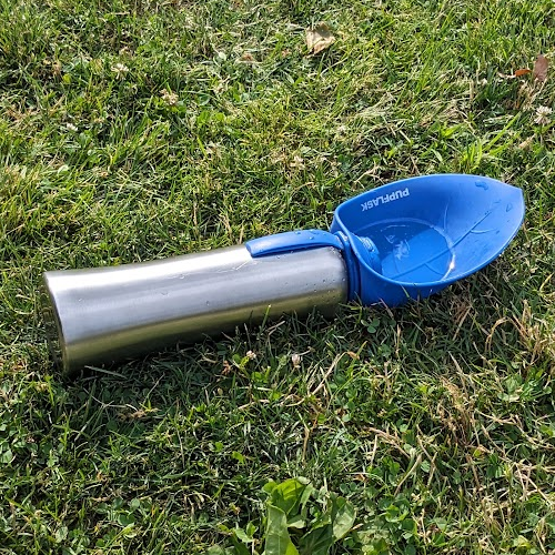 Picture of a water bottle in the grass