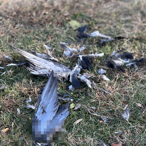 Someone or something left in a hurry.