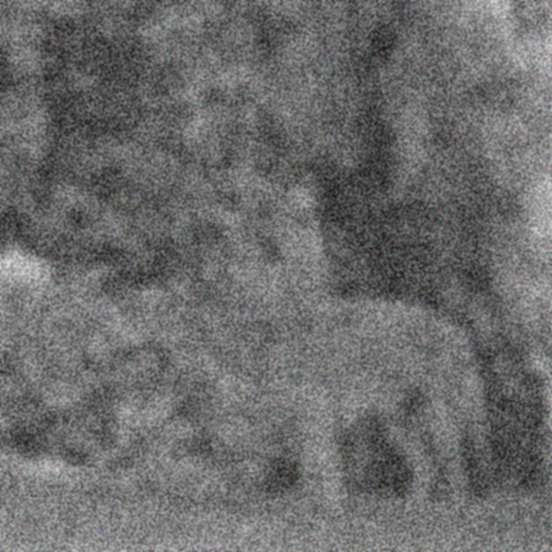 Grainy black and white photo of a beast