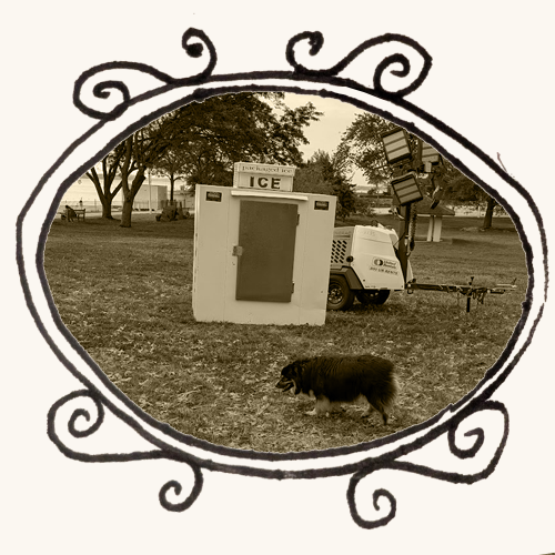 dog and ice machine