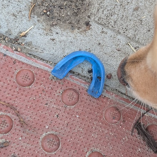 mouthguard on sidewalk.
