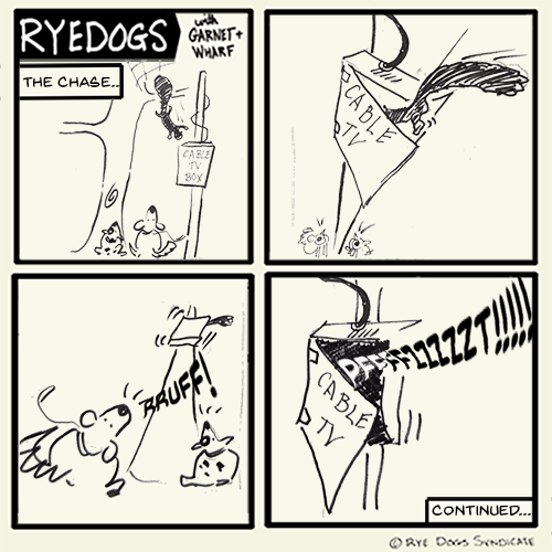 Another episode of the comic where almost nothing happens. This time, a squirrel hides in a cable utility cabinet.