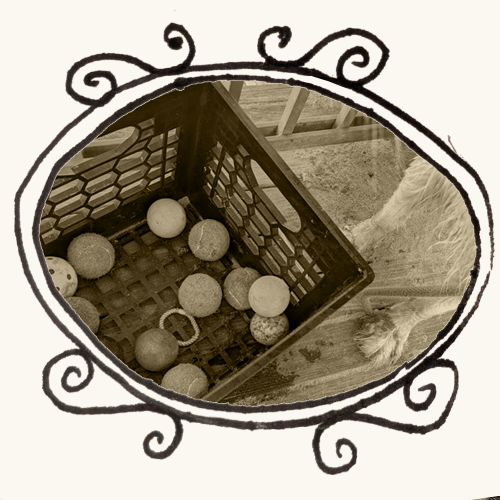 box of balls