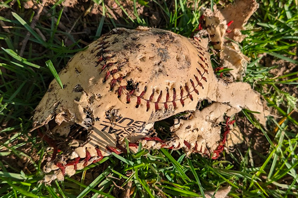 baseball cover