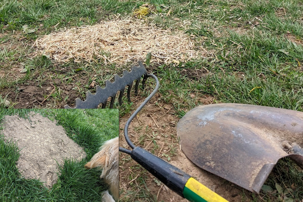 holes in grass filled