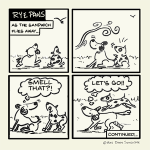 dogs smell something new!