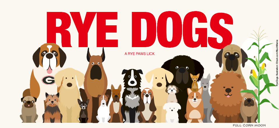 Rye Dogs Logo