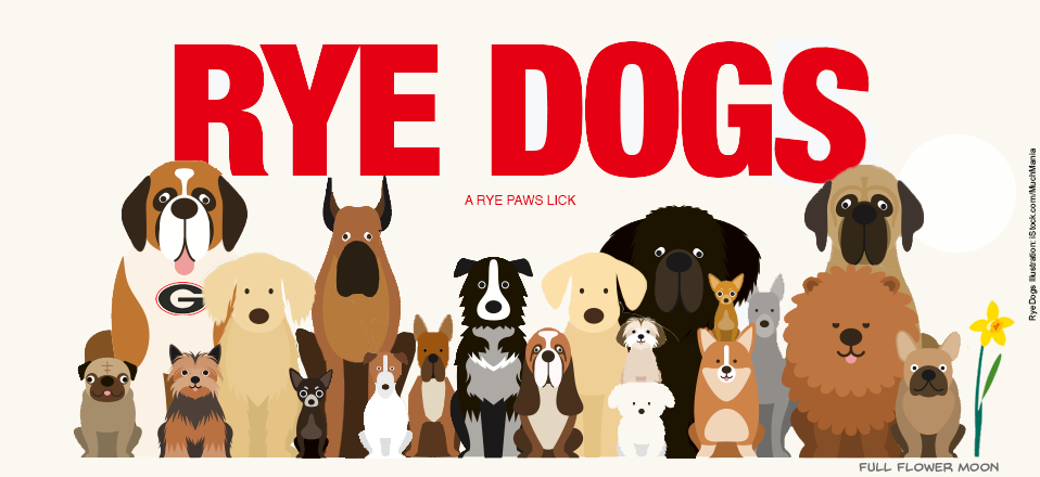 Rye Dogs Logo