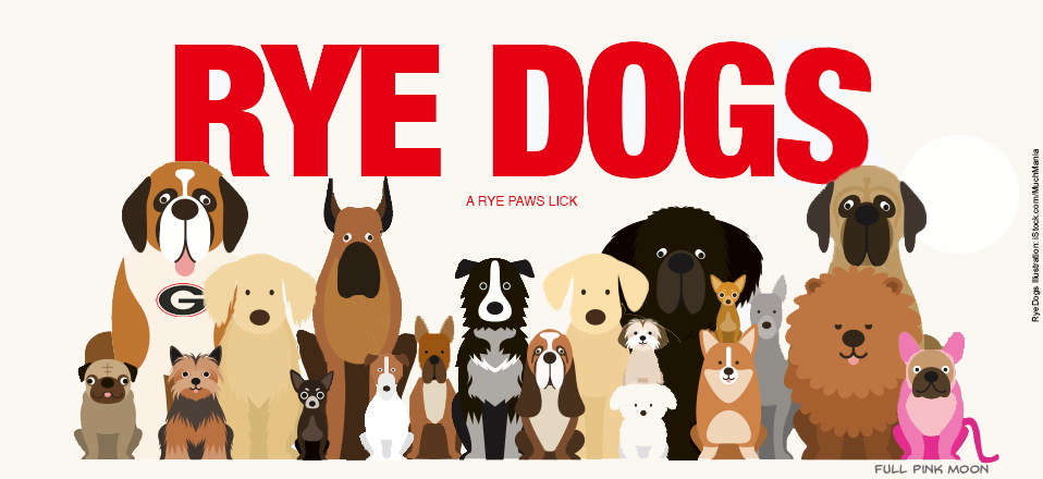 Rye Dogs Logo