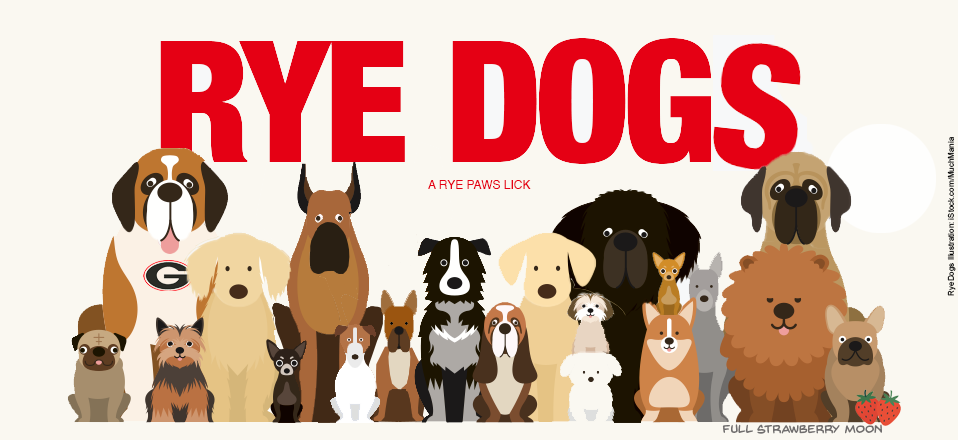 Rye Dogs Logo
