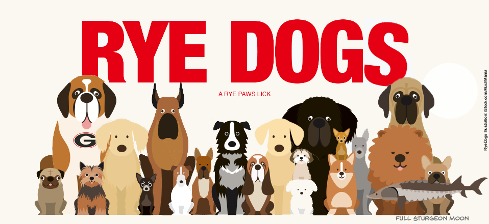 Rye Dogs Logo