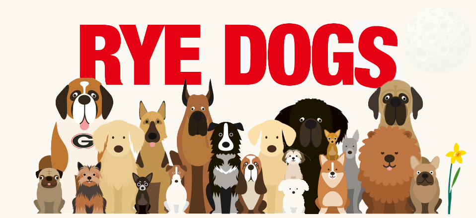 Rye Dogs
