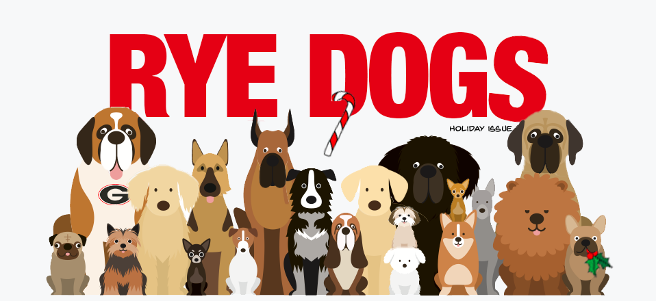 Rye Dogs