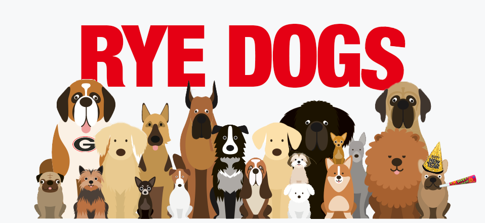 Rye Dogs