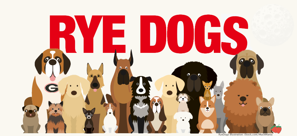 Rye Dogs