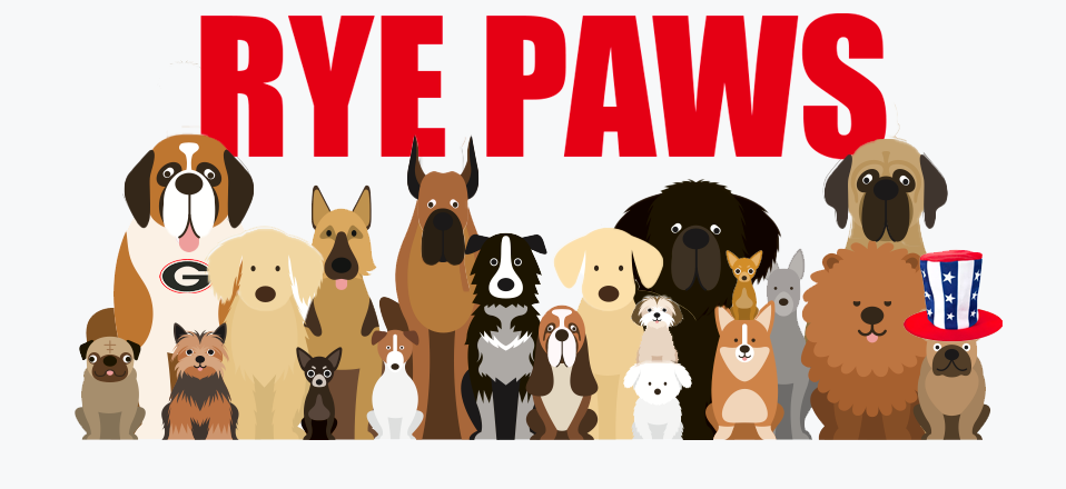 Rye Paws