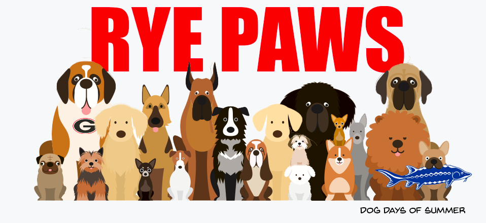 Rye Paws