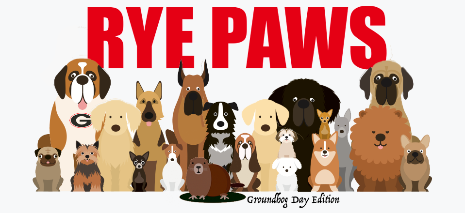 Rye Paws