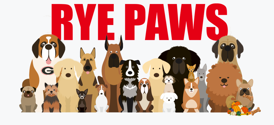 Rye Paws